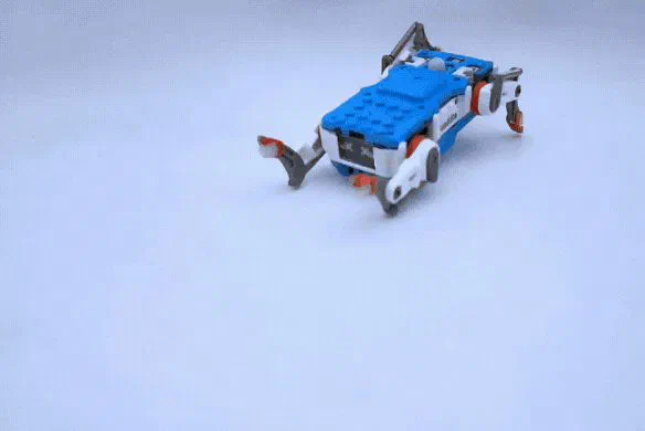 手のひらサイズで歩いて芸をする。組み立ててプログラミングも学べる4本脚のロボット犬 Quaddle (クアドル) — 写真1
