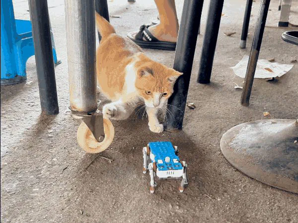 手のひらサイズで歩いて芸をする。組み立ててプログラミングも学べる4本脚のロボット犬 Quaddle (クアドル) — 写真4